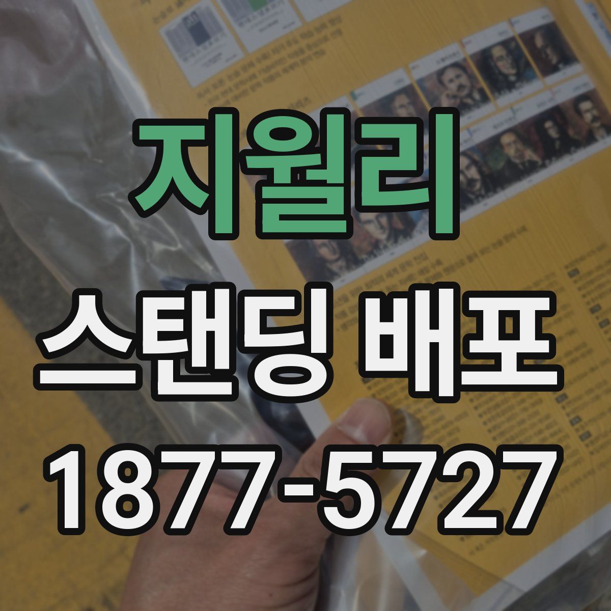 지월리 스탠딩 배포
