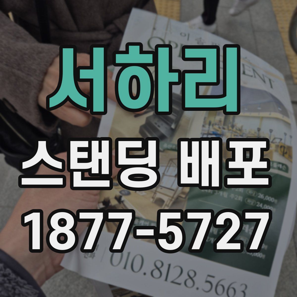 서하리 스탠딩 배포