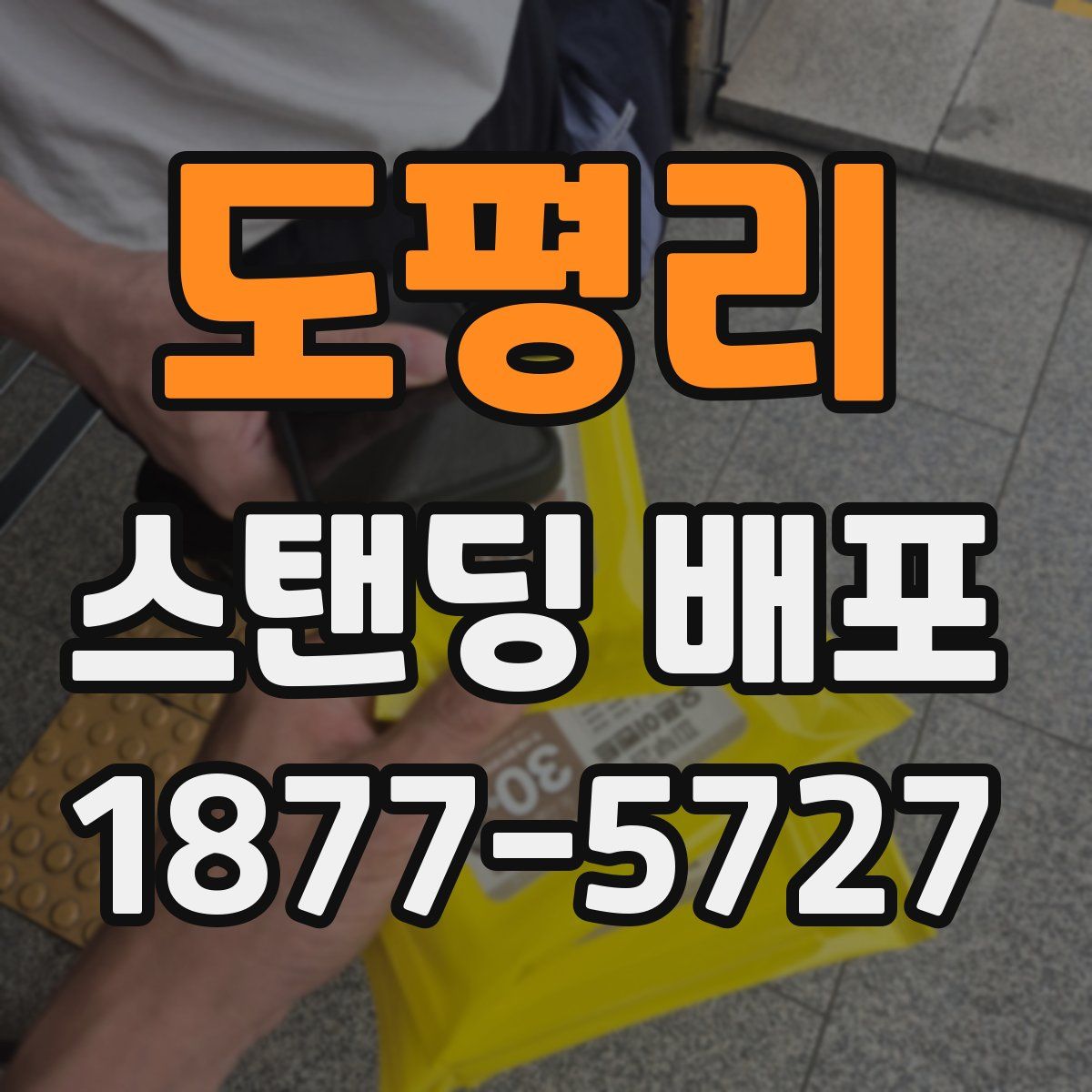 도평리 스탠딩 배포