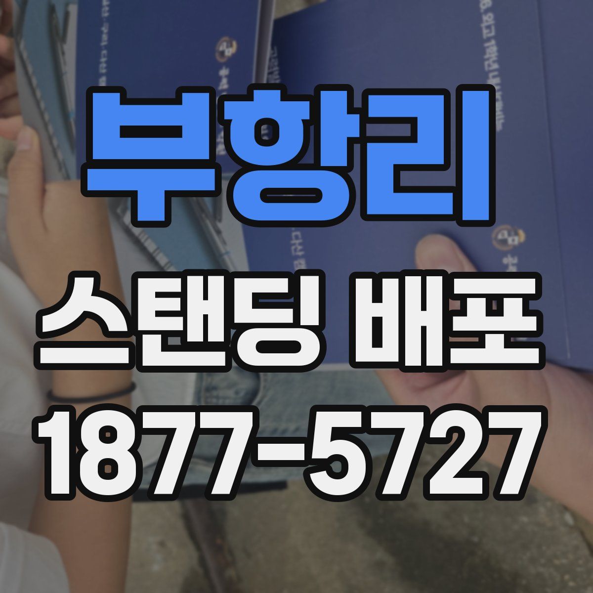 부항리 스탠딩 배포