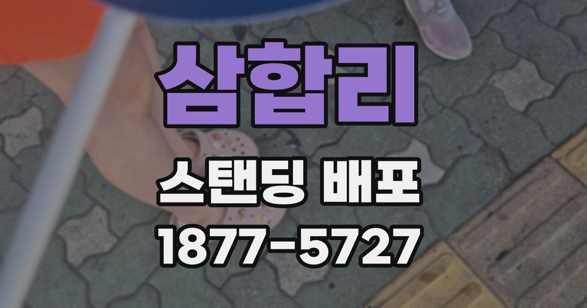 삼합리 스탠딩 배포