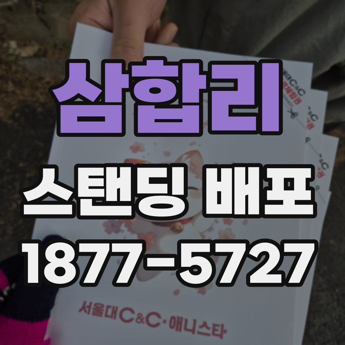 삼합리 스탠딩 배포