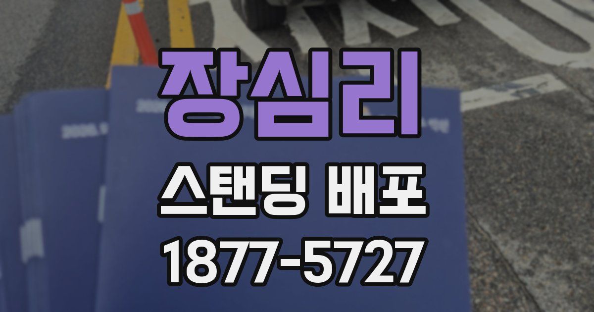 장심리 스탠딩 배포