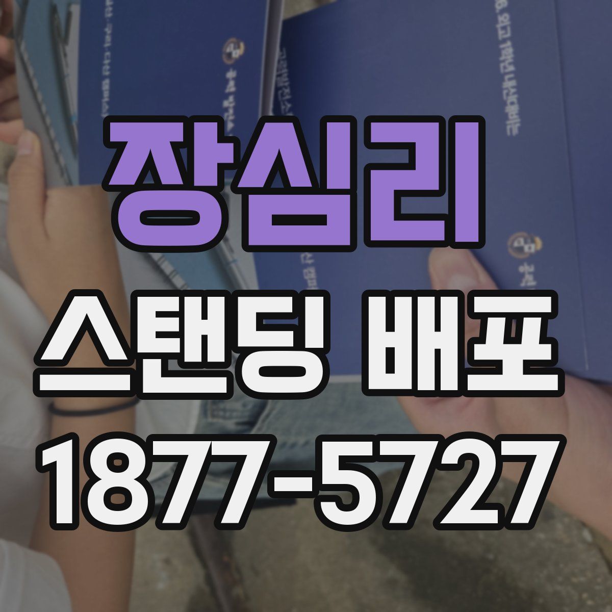 장심리 스탠딩 배포