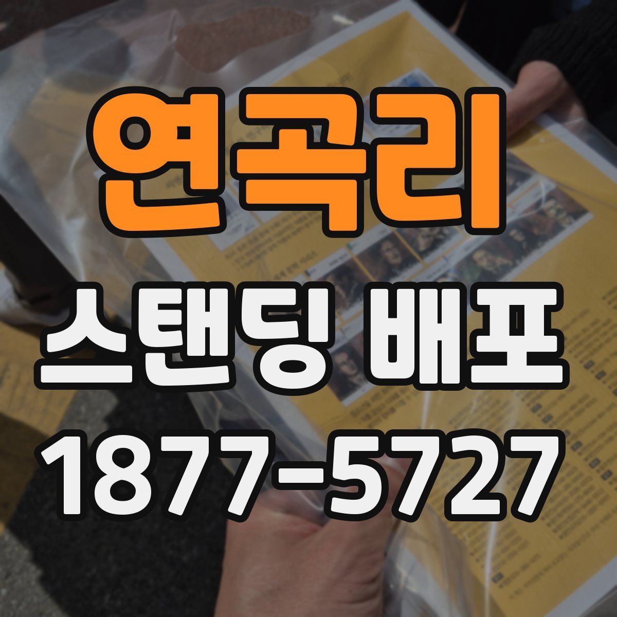 연곡리 스탠딩 배포
