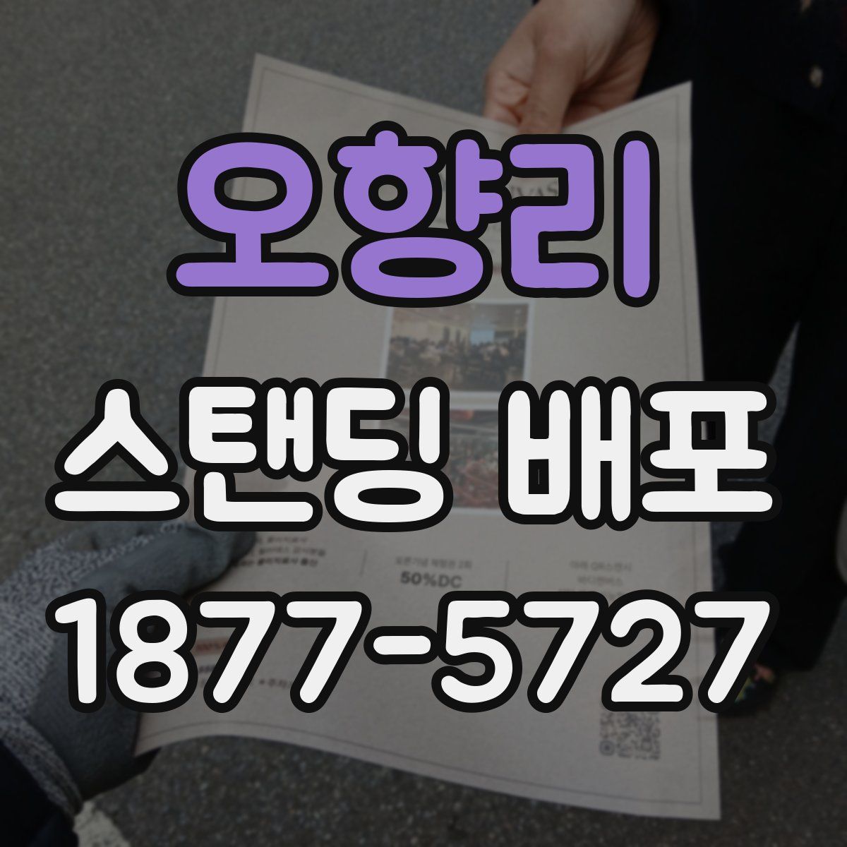 오향리 스탠딩 배포