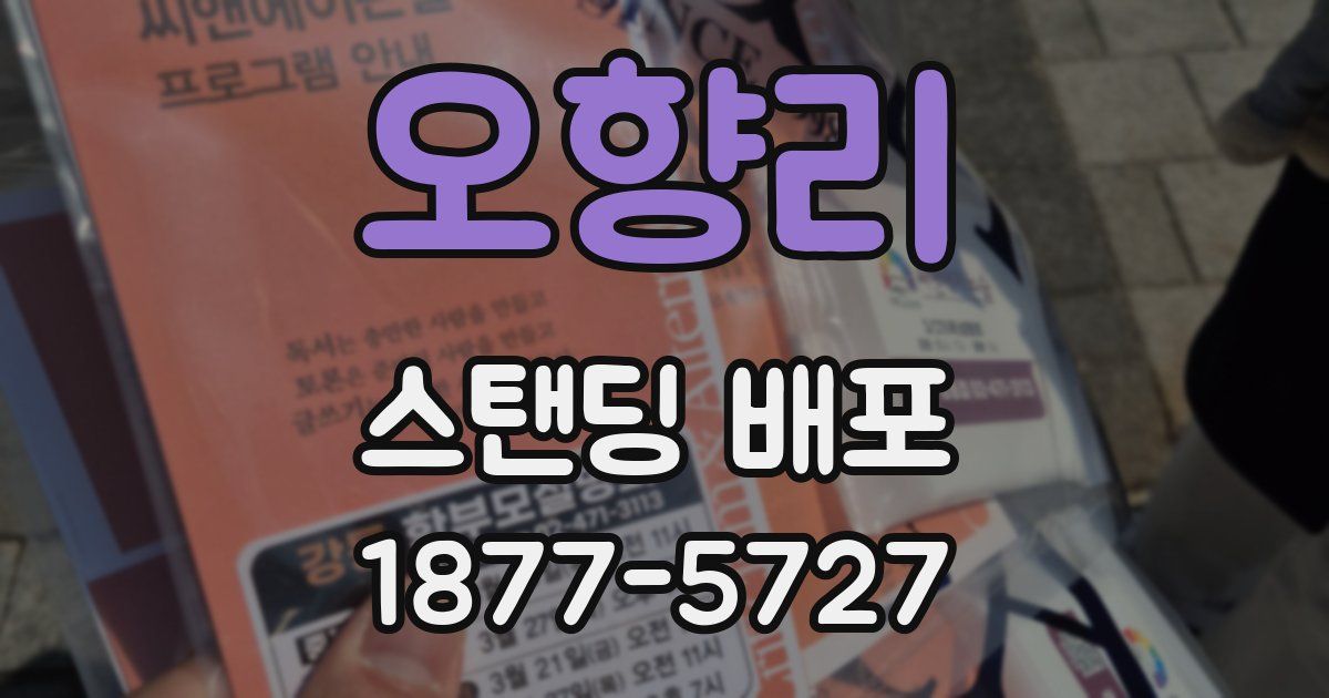 오향리 스탠딩 배포