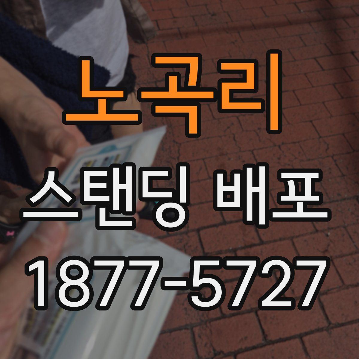 노곡리 스탠딩 배포