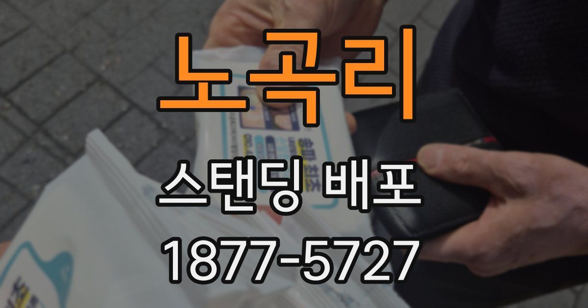 노곡리 스탠딩 배포