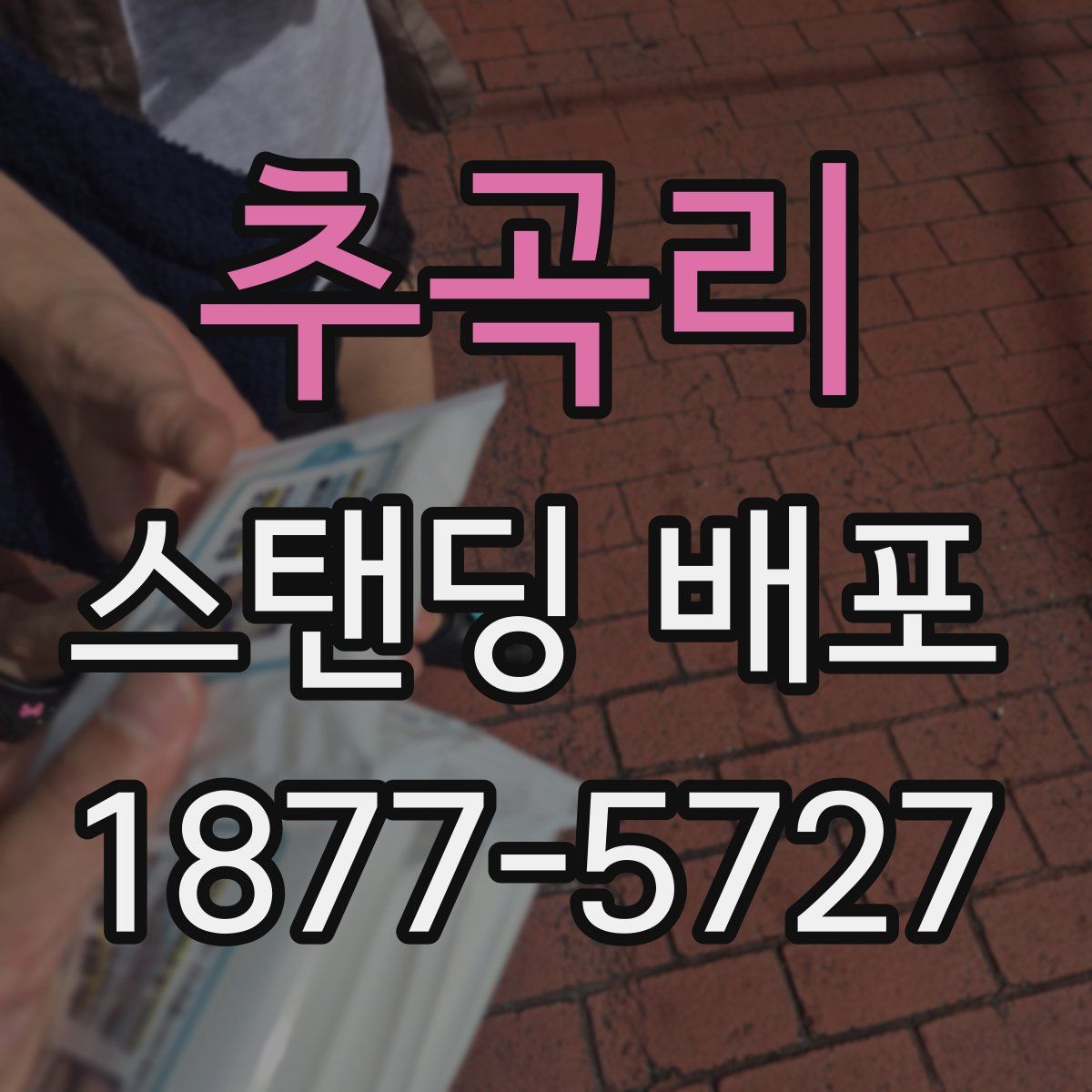 추곡리 스탠딩 배포