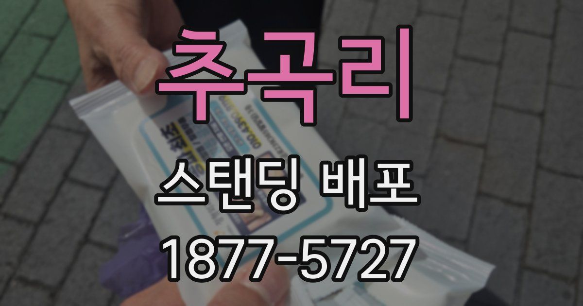 추곡리 스탠딩 배포