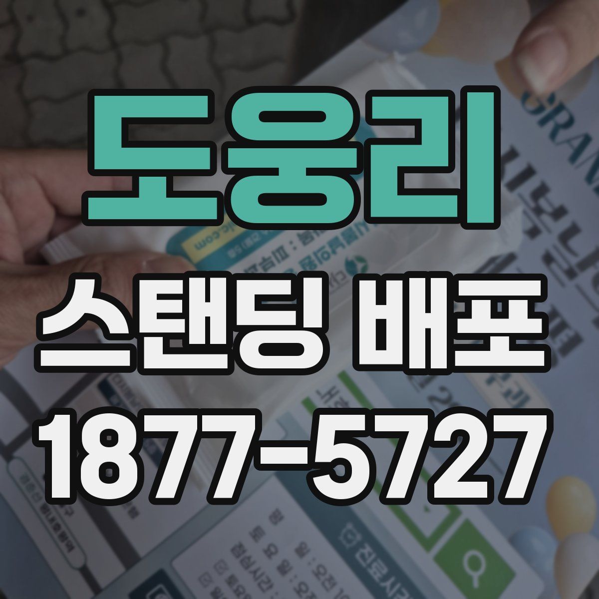 도웅리 스탠딩 배포