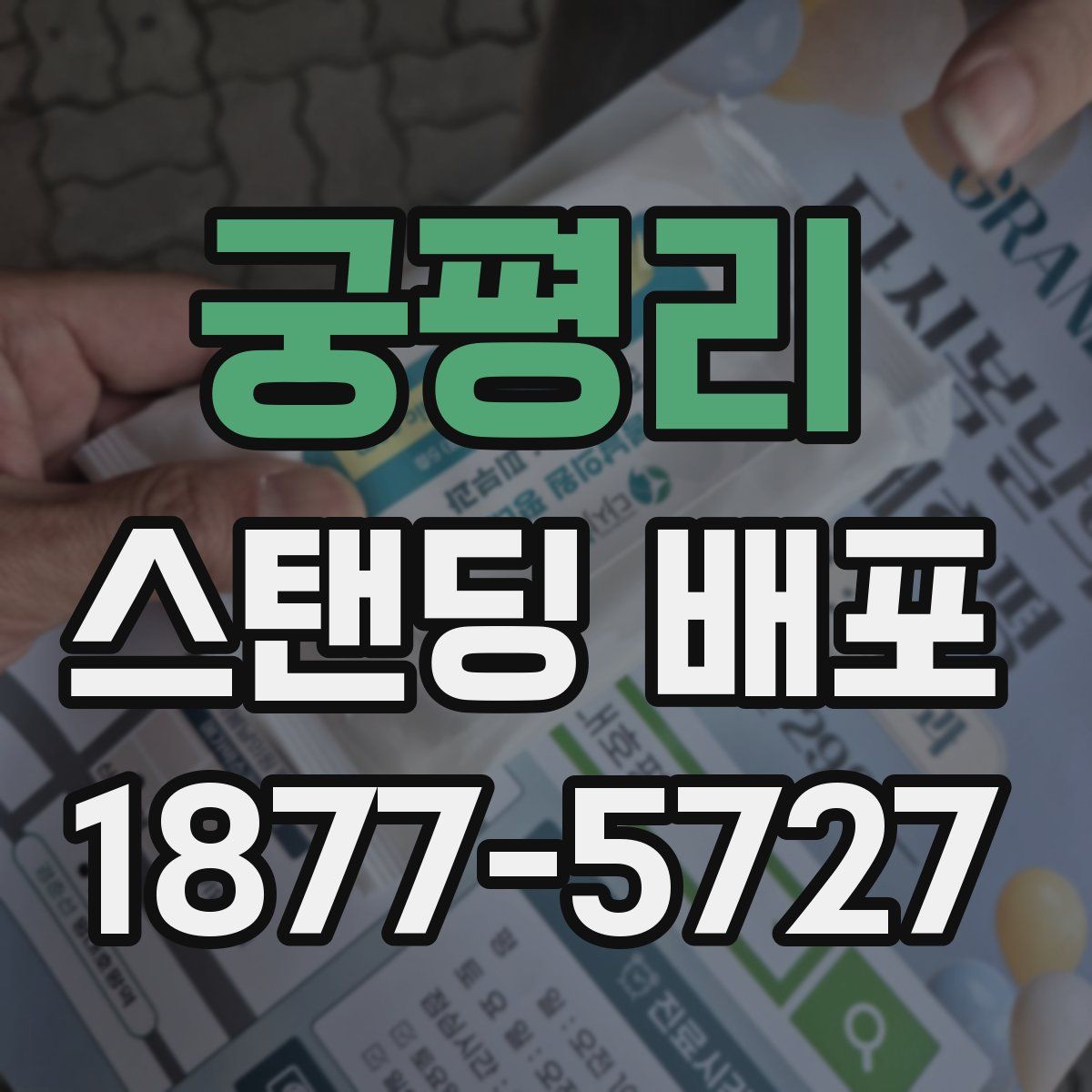 궁평리 스탠딩 배포