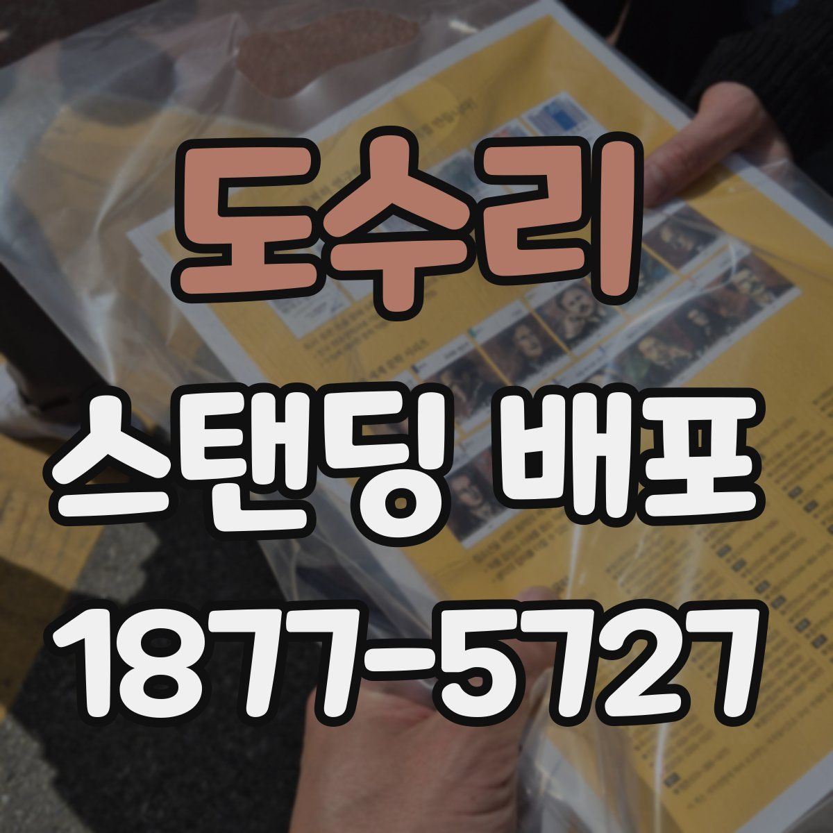 도수리 스탠딩 배포