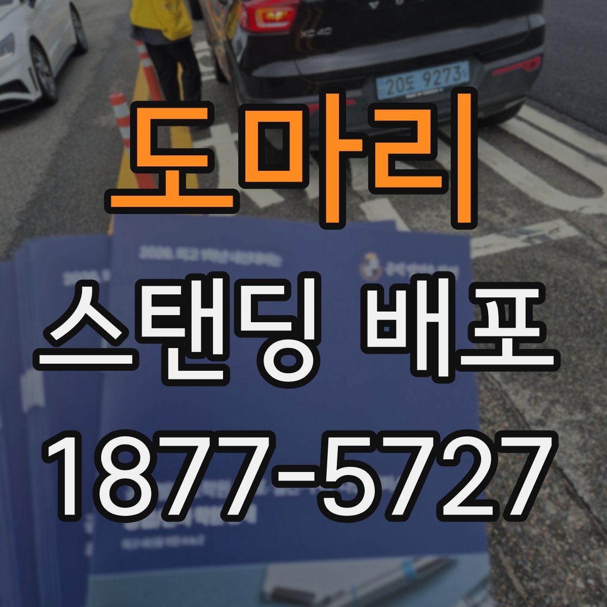 도마리 스탠딩 배포