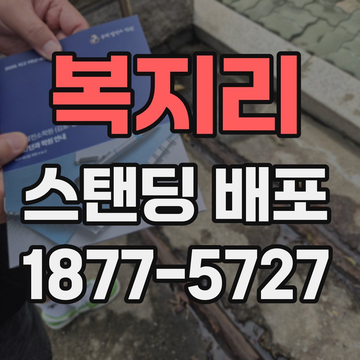 복지리 스탠딩 배포