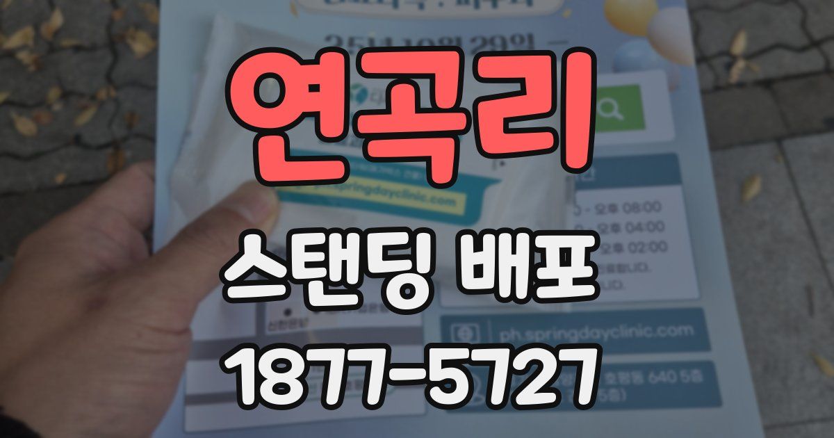 연곡리 스탠딩 배포