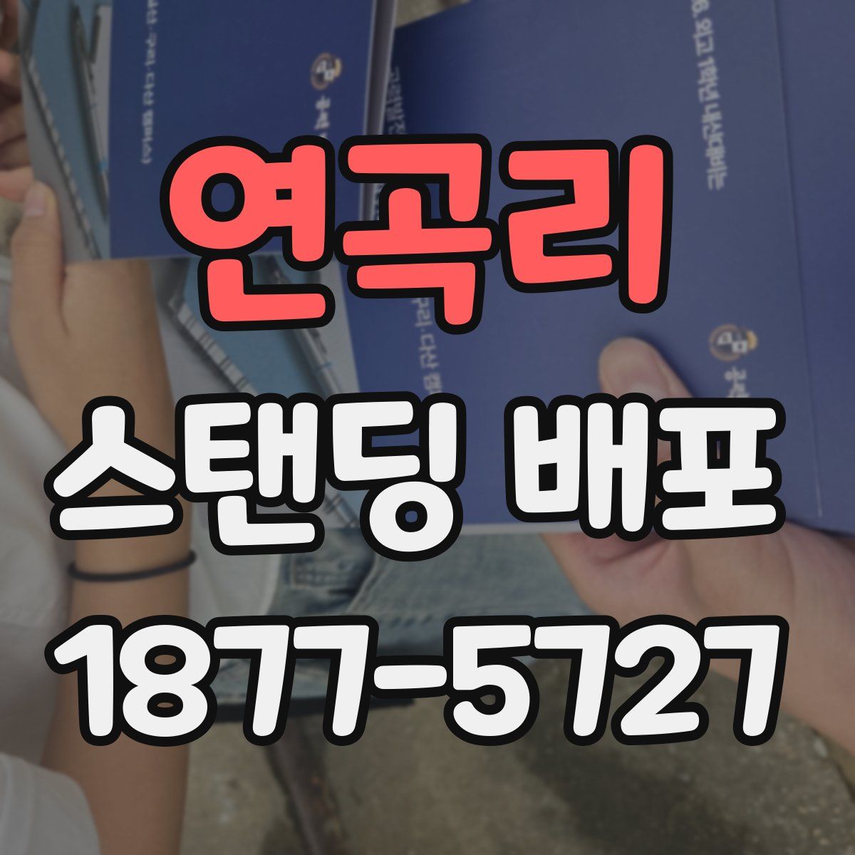 연곡리 스탠딩 배포