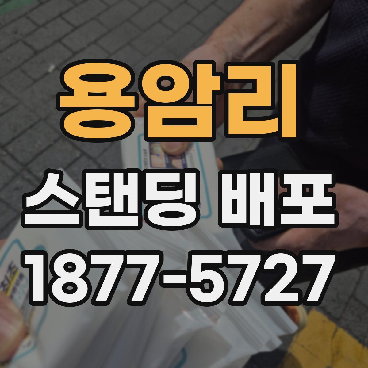 용암리 스탠딩 배포