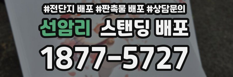 선암리 스탠딩 배포