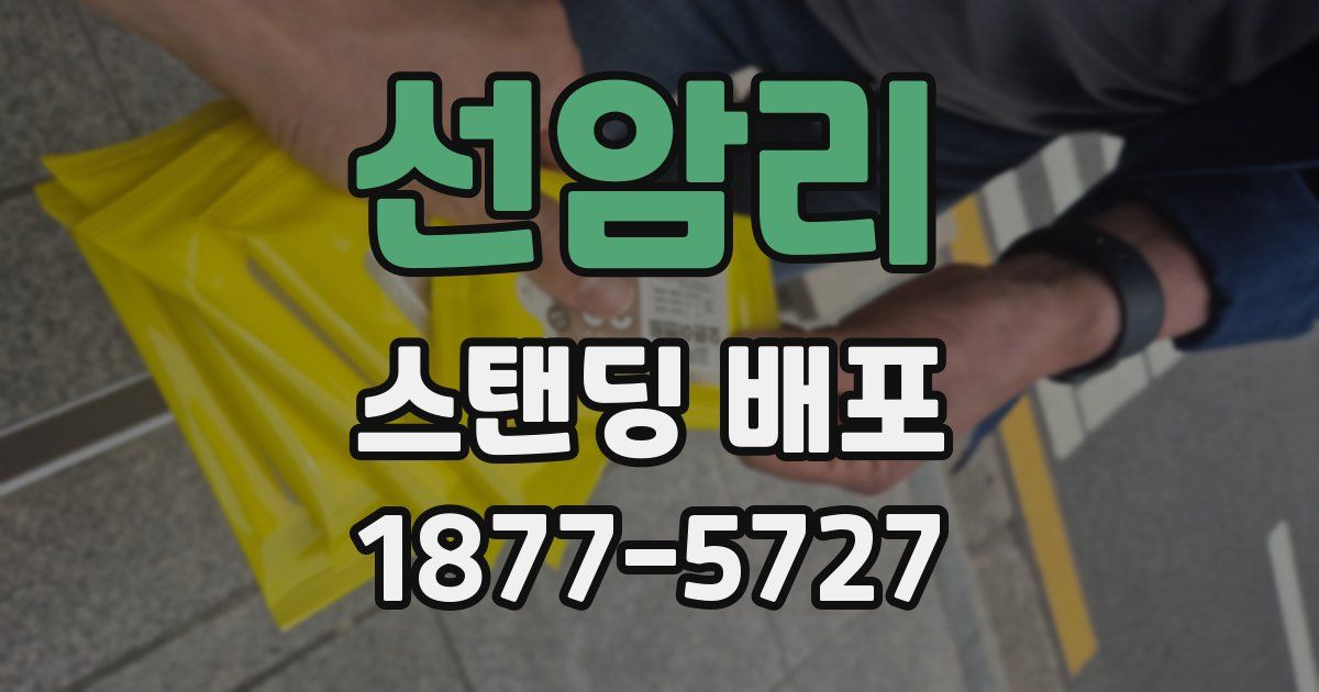 선암리 스탠딩 배포