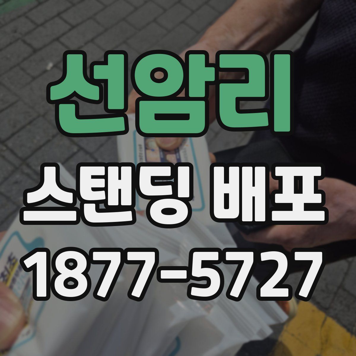 선암리 스탠딩 배포