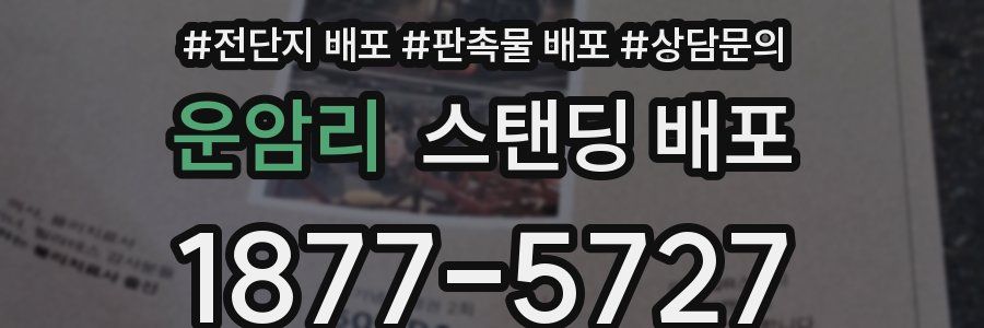 운암리 스탠딩 배포