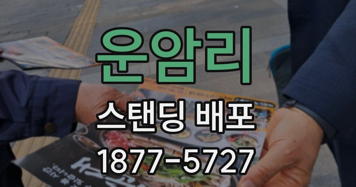 운암리 스탠딩 배포