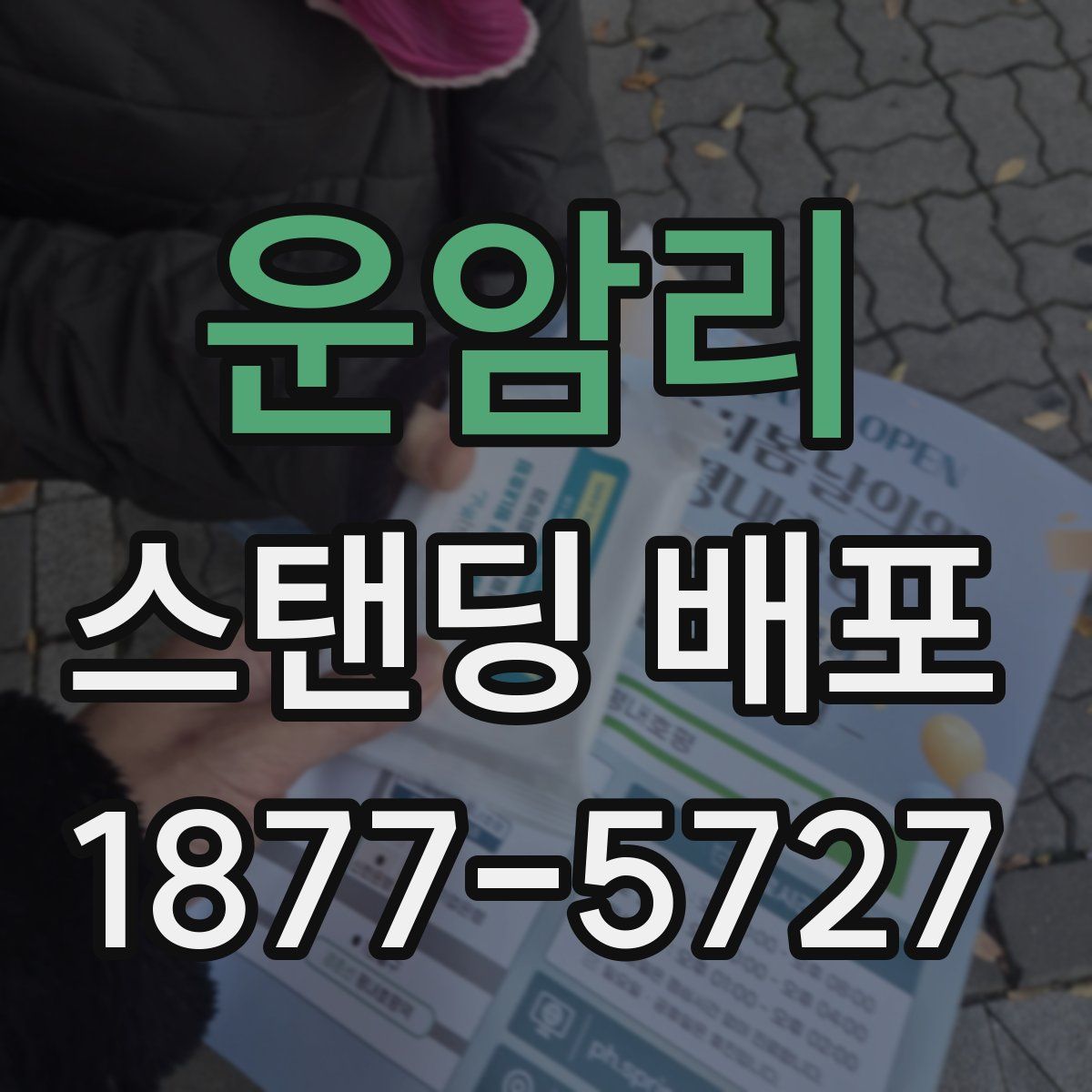 운암리 스탠딩 배포