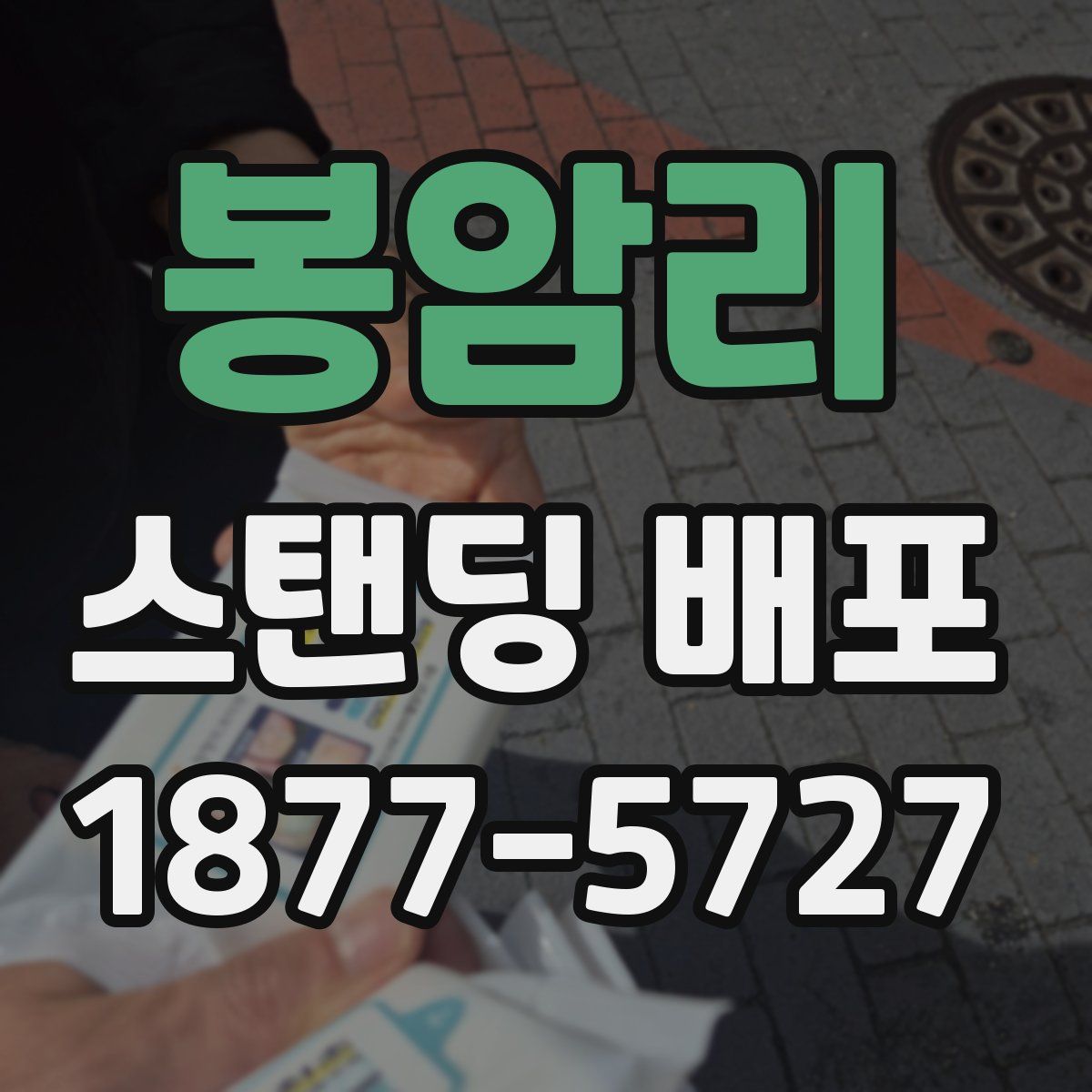 봉암리 스탠딩 배포
