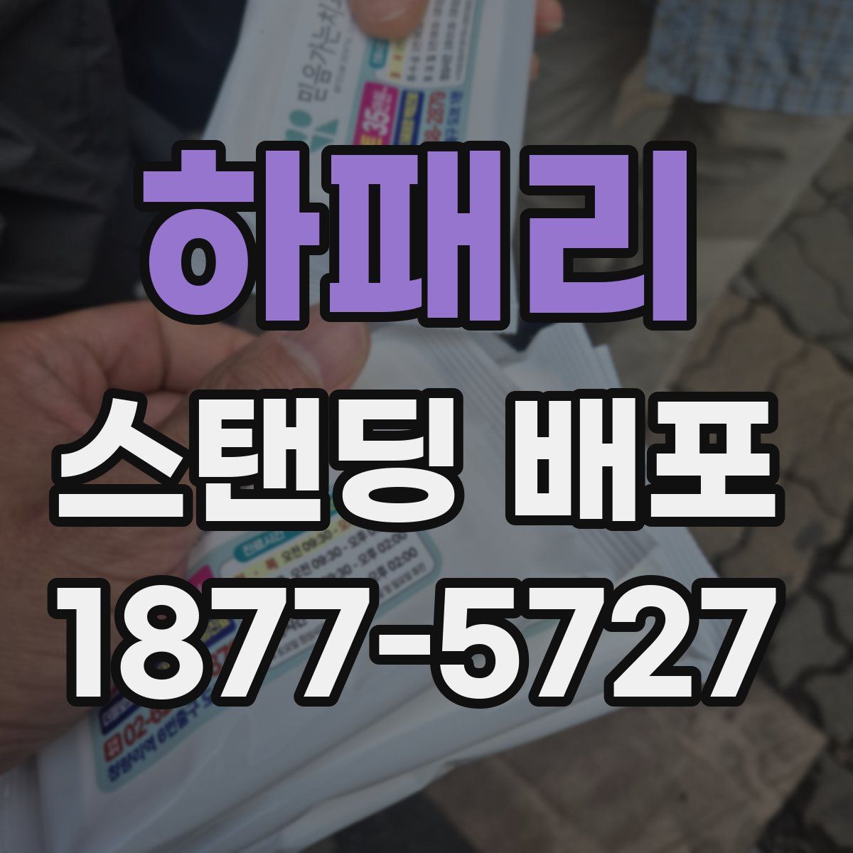 하패리 스탠딩 배포