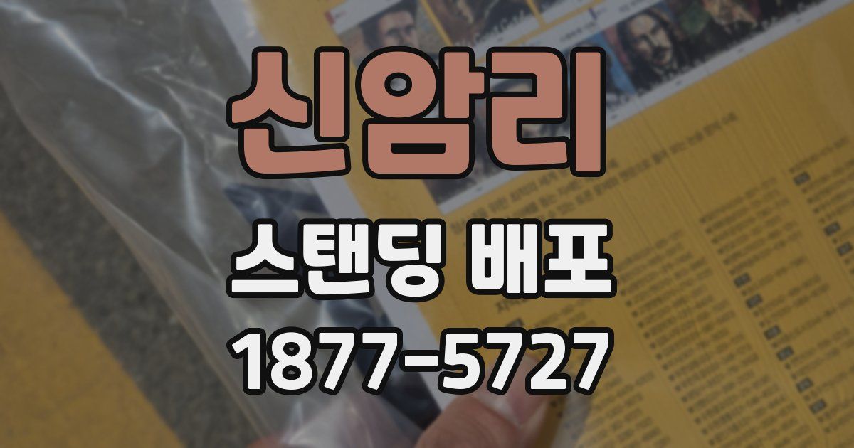 신암리 스탠딩 배포