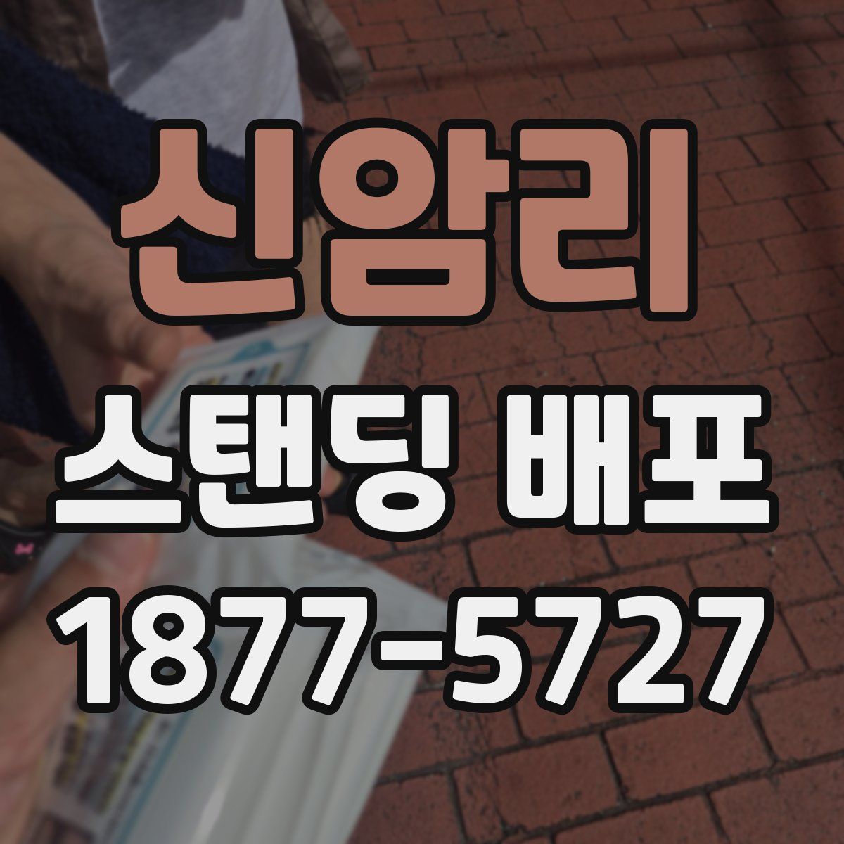 신암리 스탠딩 배포