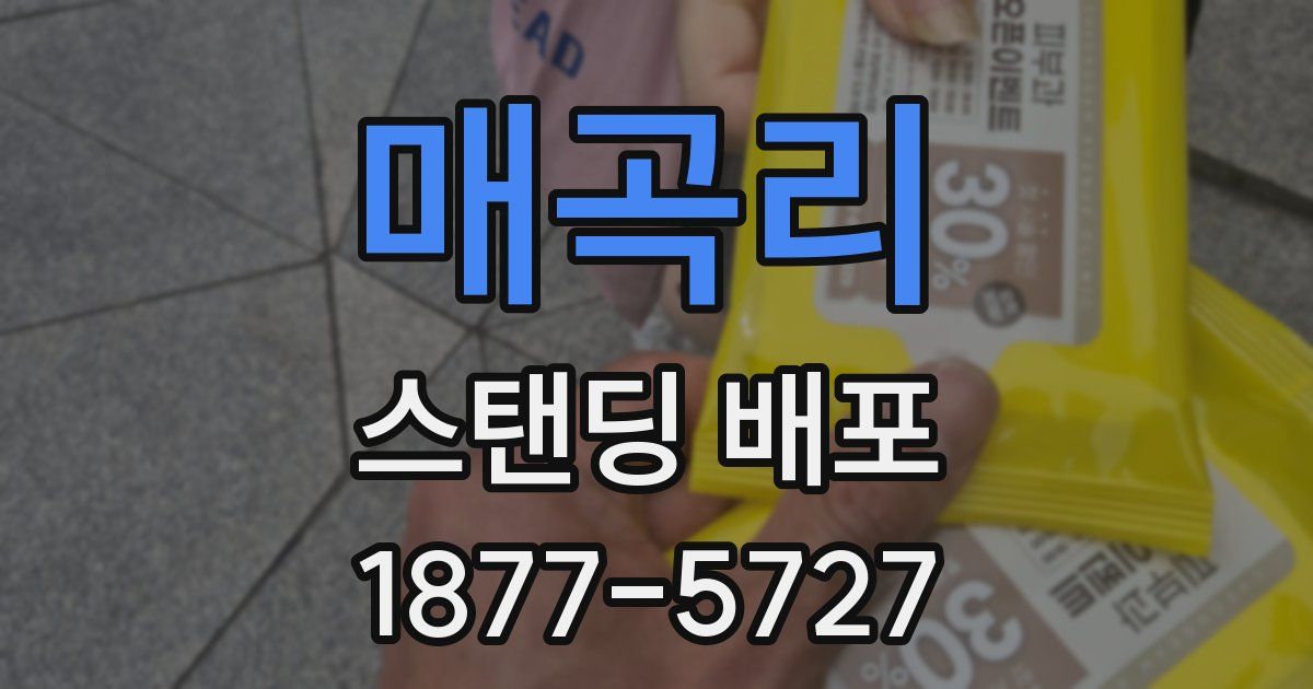 매곡리 스탠딩 배포