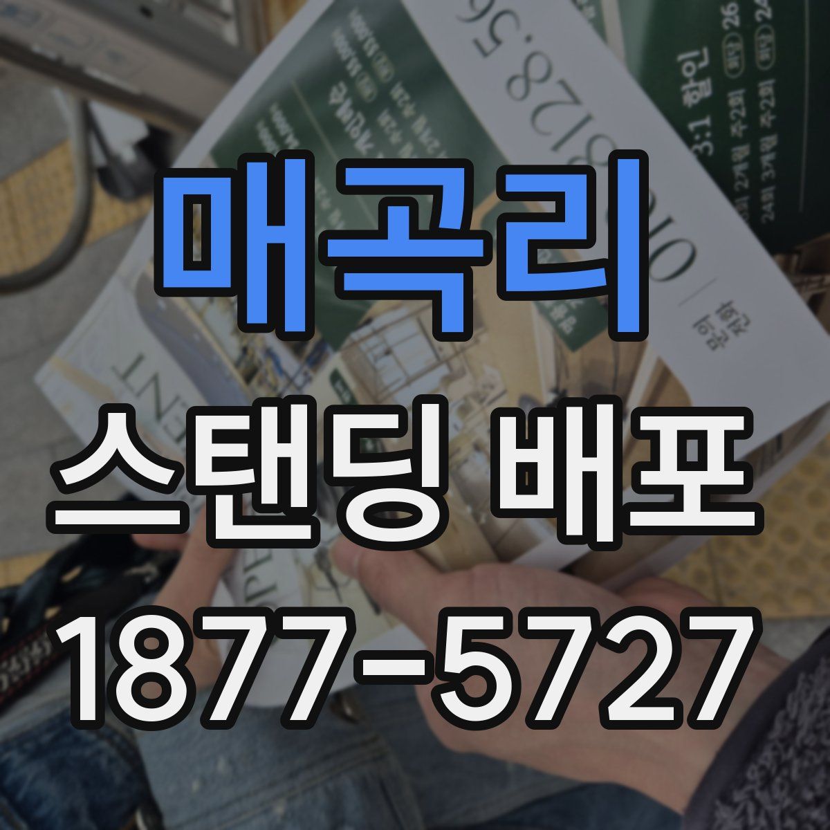 매곡리 스탠딩 배포