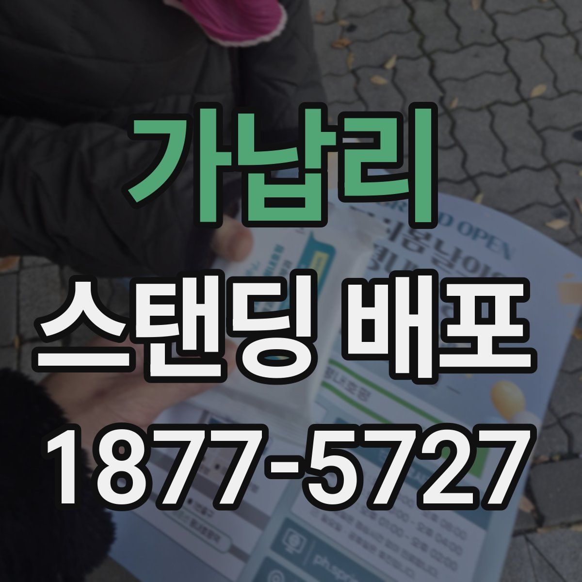 가납리 스탠딩 배포