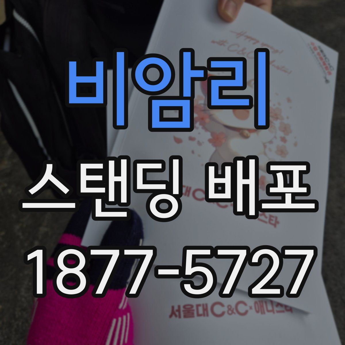 비암리 스탠딩 배포