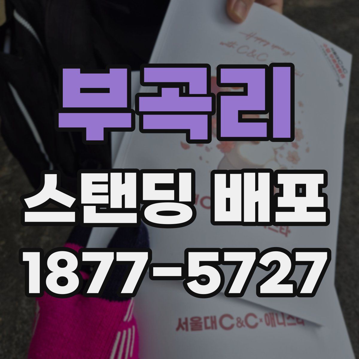 부곡리 스탠딩 배포