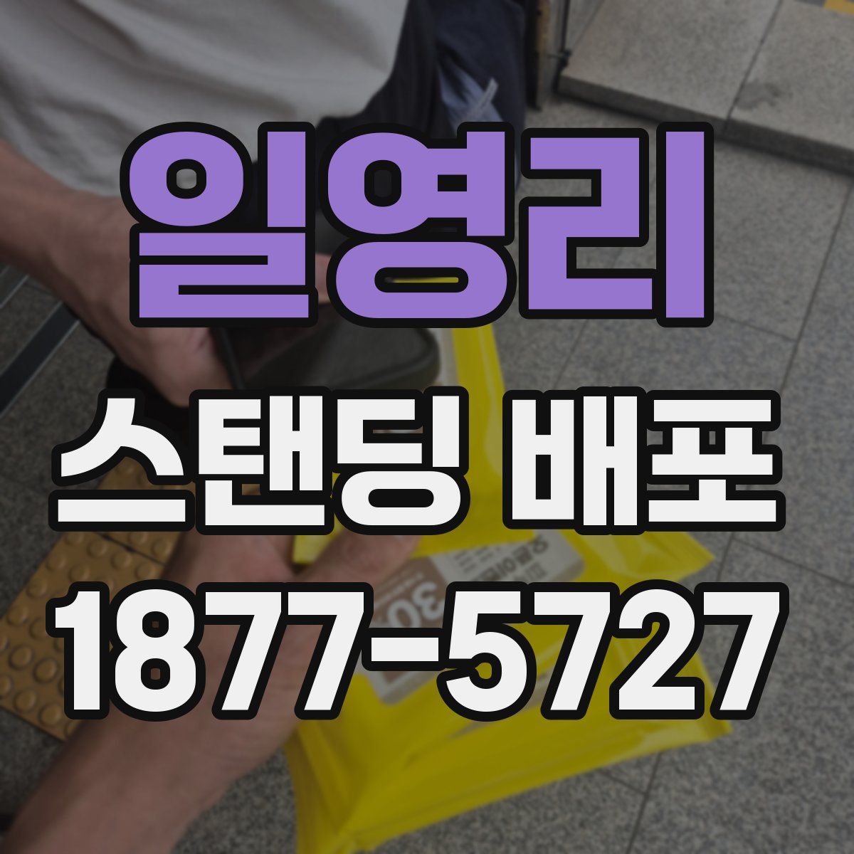 일영리 스탠딩 배포