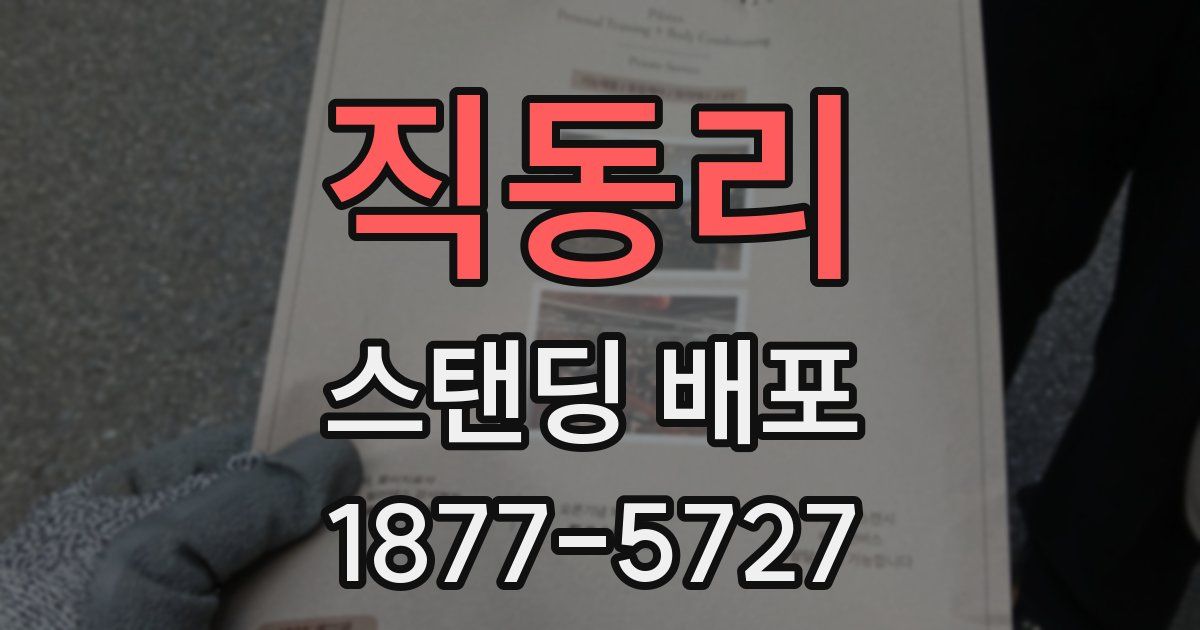 직동리 스탠딩 배포