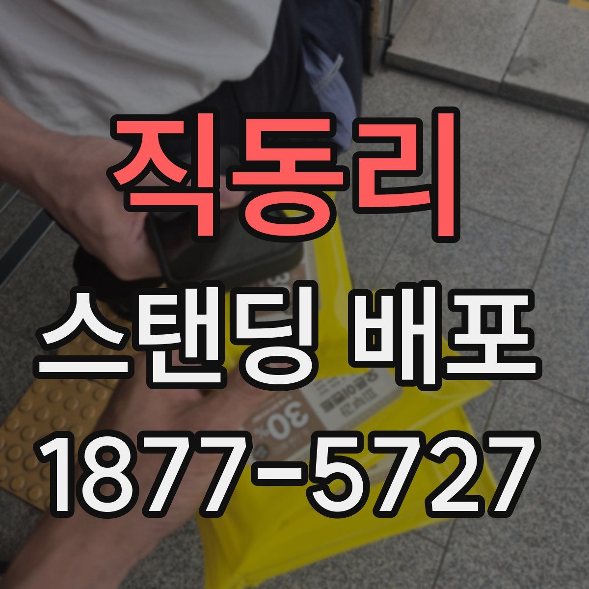 직동리 스탠딩 배포