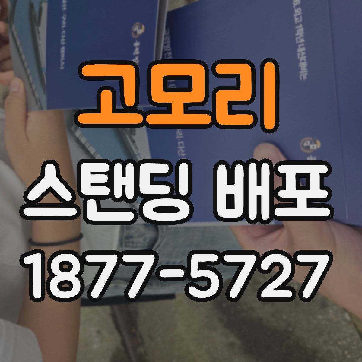 고모리 스탠딩 배포
