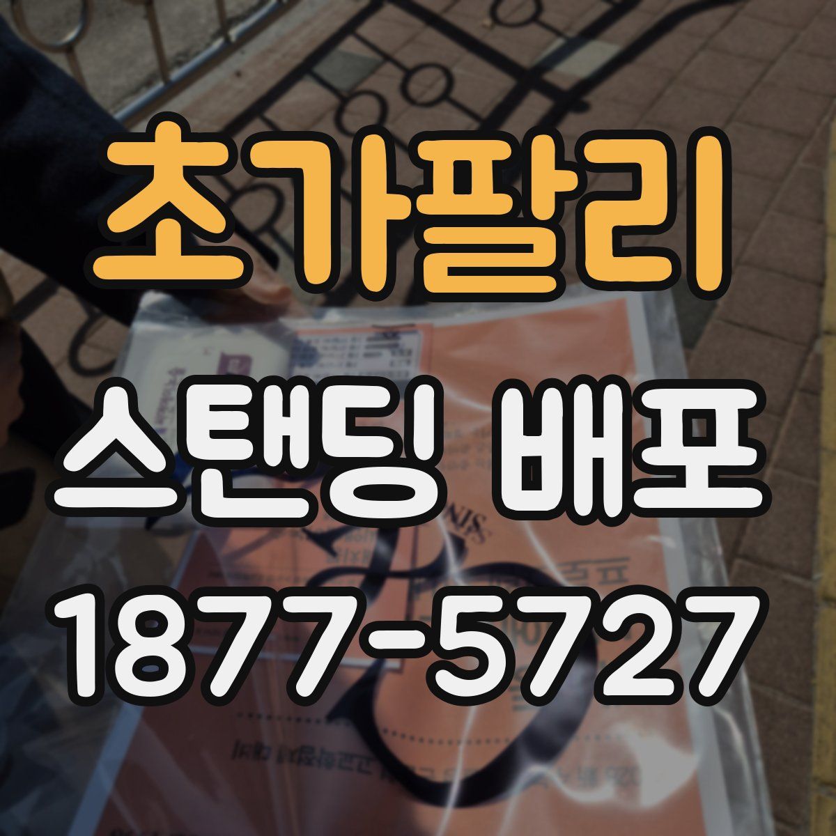 초가팔리 스탠딩 배포