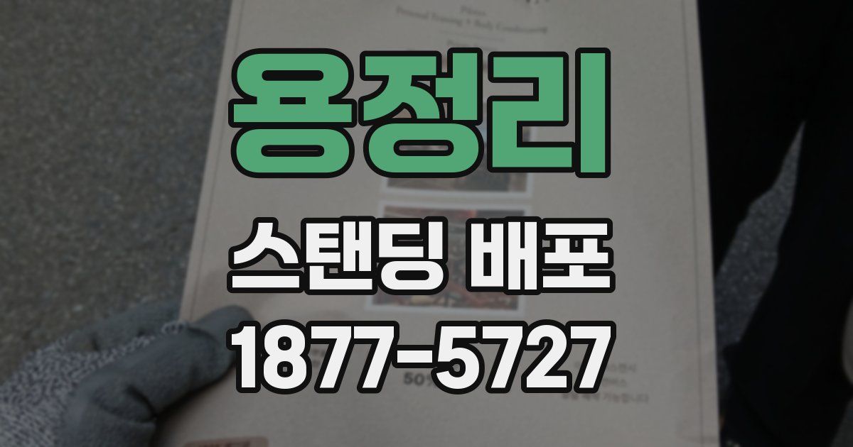 용정리 스탠딩 배포