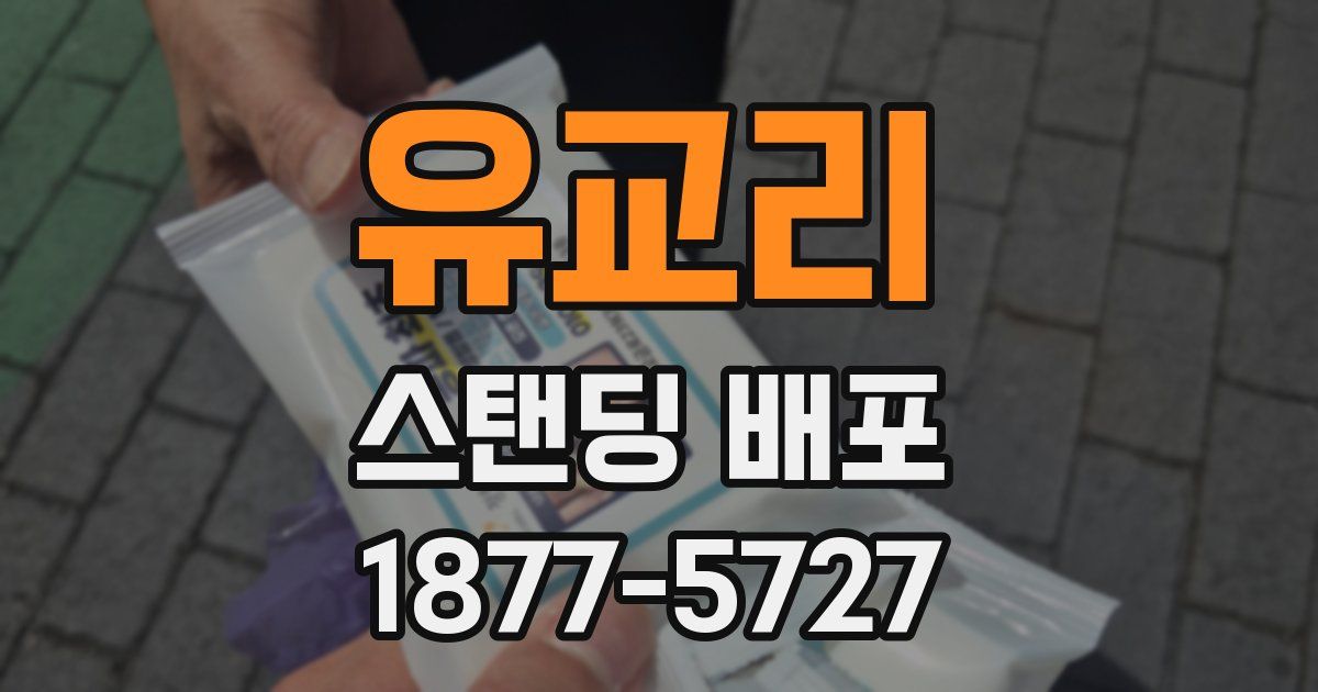 유교리 스탠딩 배포