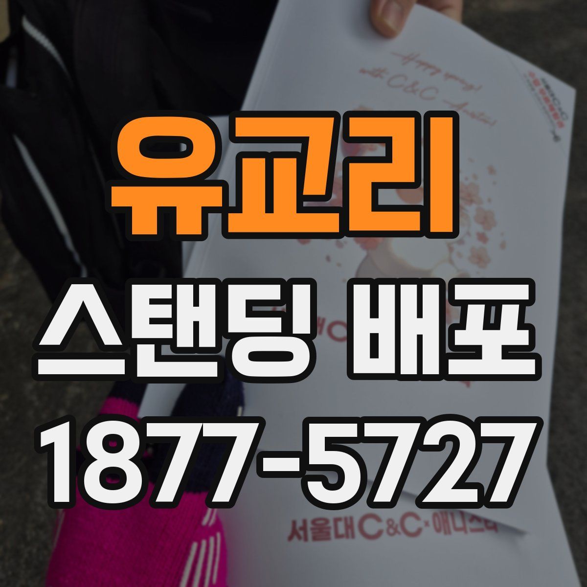 유교리 스탠딩 배포