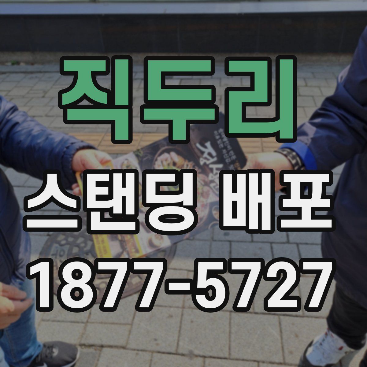 직두리 스탠딩 배포