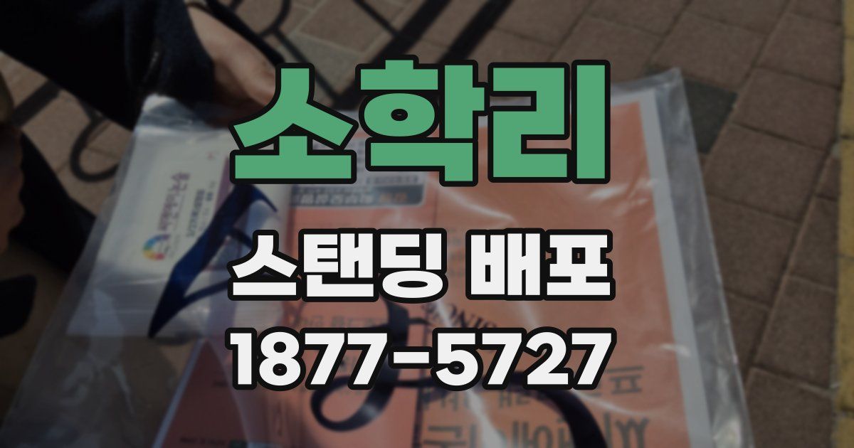 소학리 스탠딩 배포