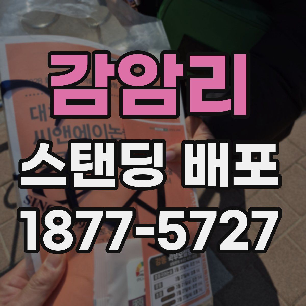 감암리 스탠딩 배포
