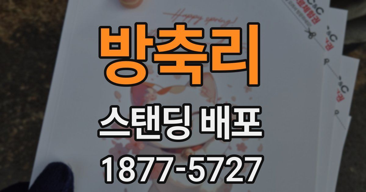 방축리 스탠딩 배포